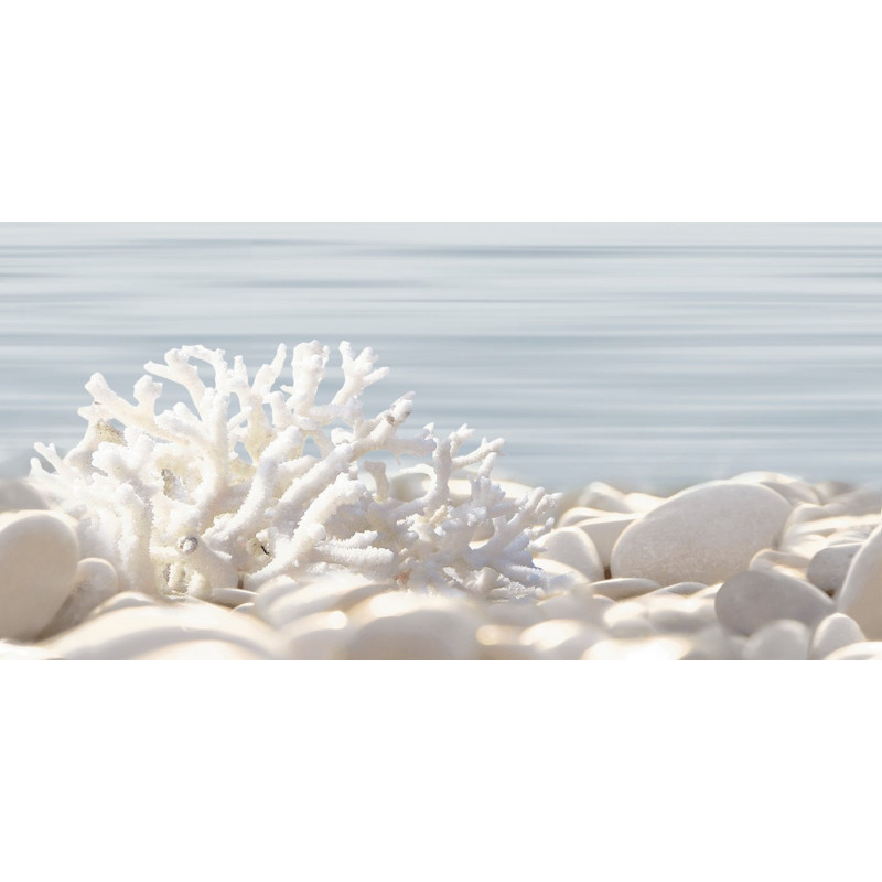 Декор глянцевый с абстрактным рисунком ALMA ceramica Дель Мар светло-серый 24,9×50 (DWU09DLM624)