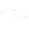 Плитка Токио 20×60 глянцевая (TWA11TOK007)