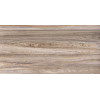 Плитка Дублин 24,9×50 глянцевая (TWU09DBL404)